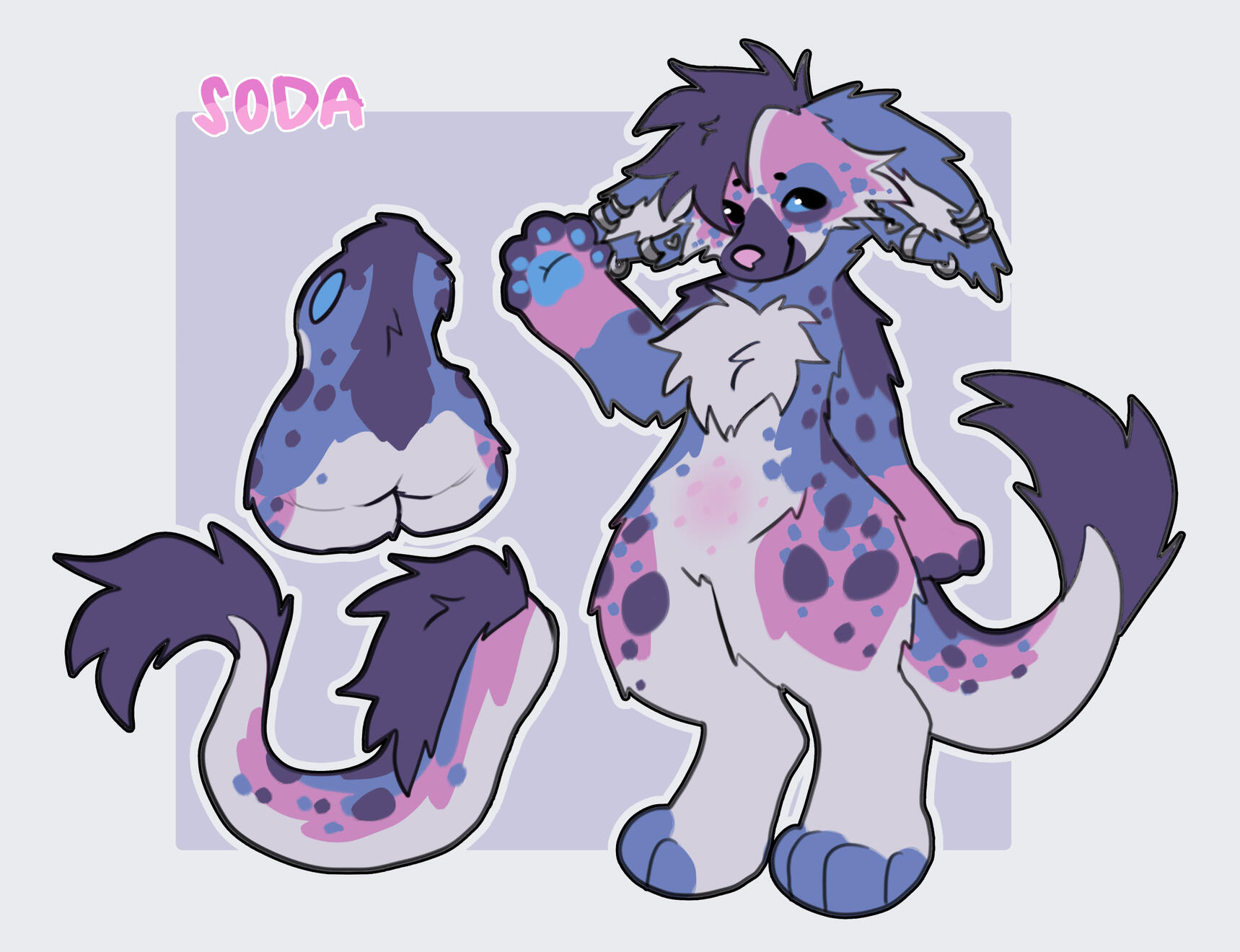 soda ref